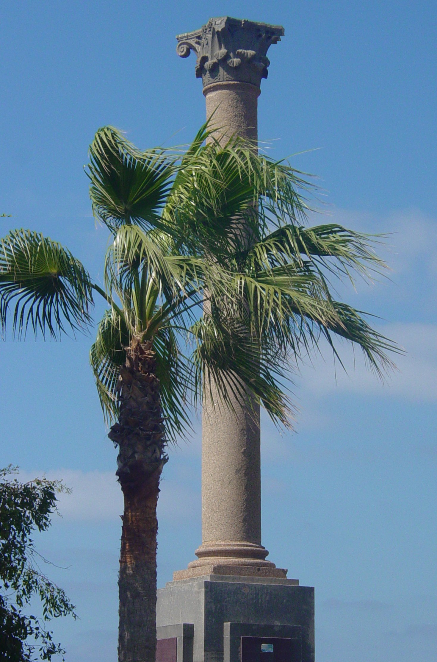 Alexandria Roman Column